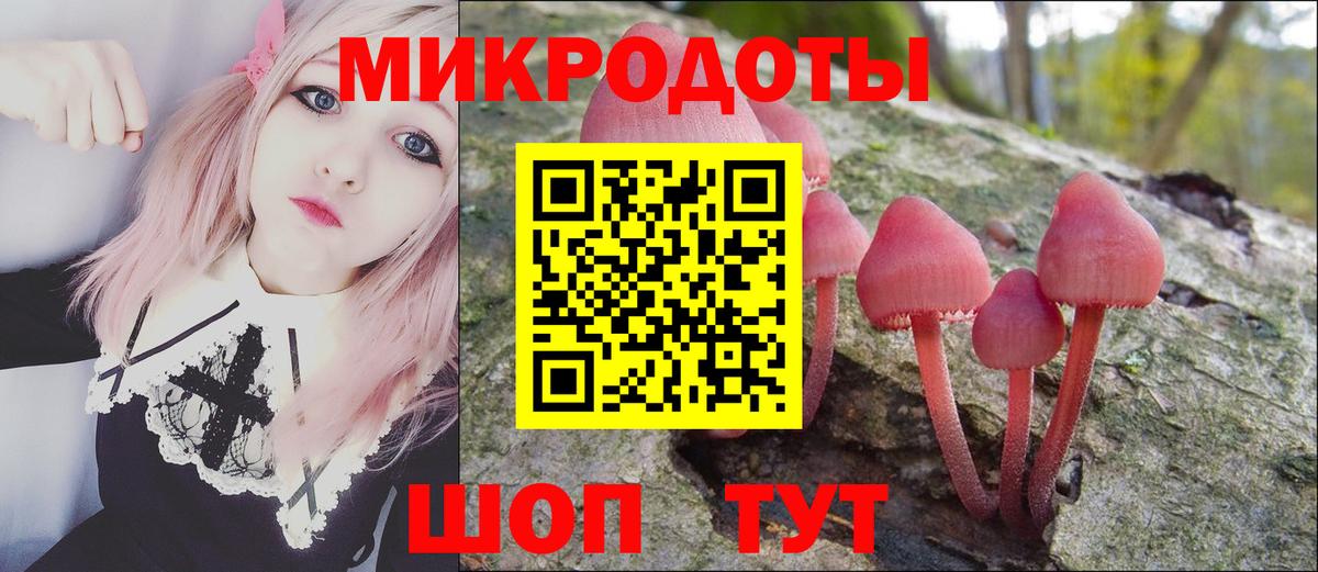 Псилоцибиновые грибы прущие грибы Зеленокумск